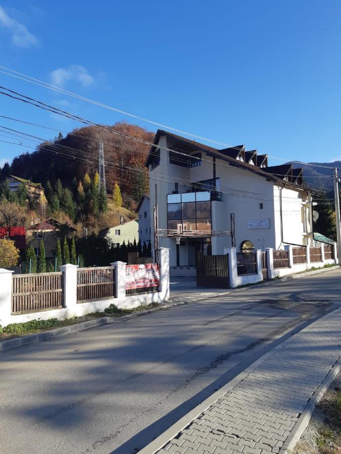 M7 Villa Bed& Bistro Тимишу-де-Жос Экстерьер фото