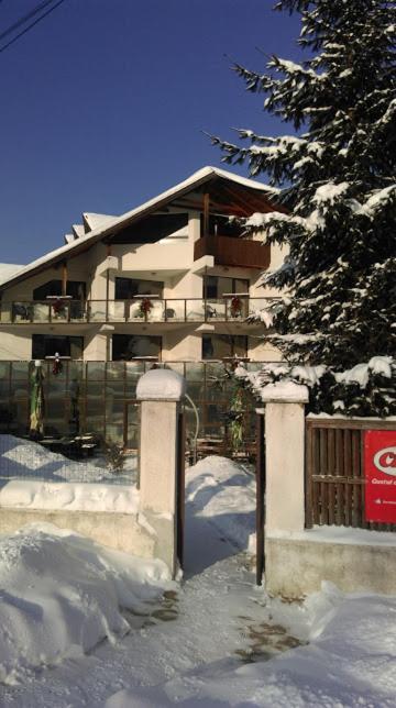 M7 Villa Bed& Bistro Тимишу-де-Жос Экстерьер фото